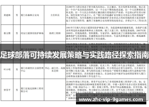 足球部落可持续发展策略与实践路径探索指南
