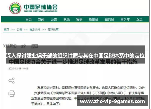 深入探讨建业俱乐部的组织性质与其在中国足球体系中的定位