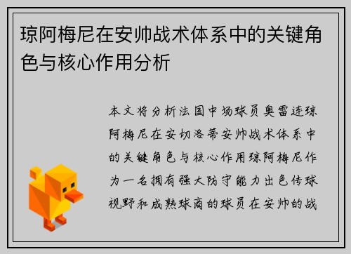 琼阿梅尼在安帅战术体系中的关键角色与核心作用分析